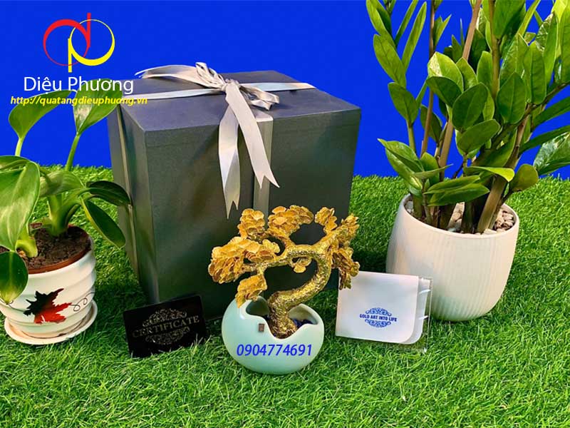 Chậu Cây Phong Thủy Dát Vàng